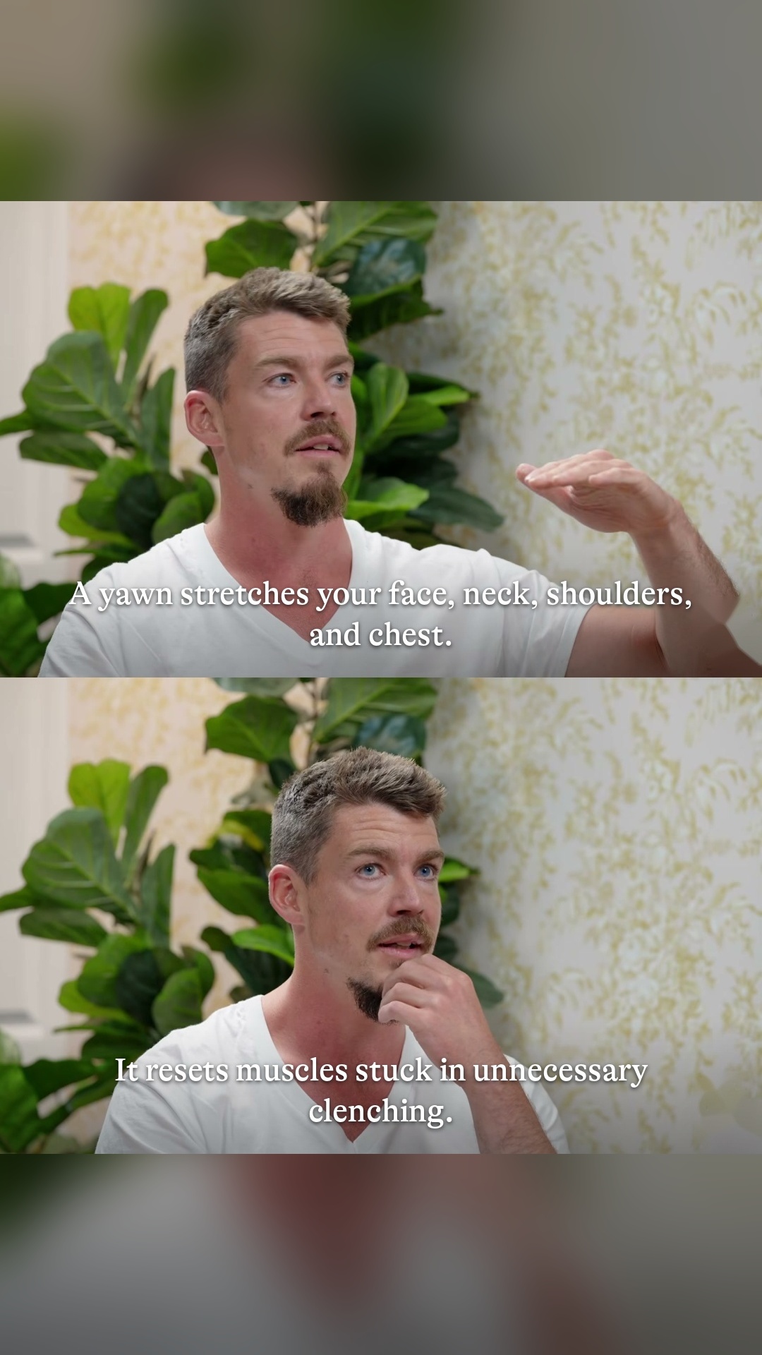 tiktok slide 3