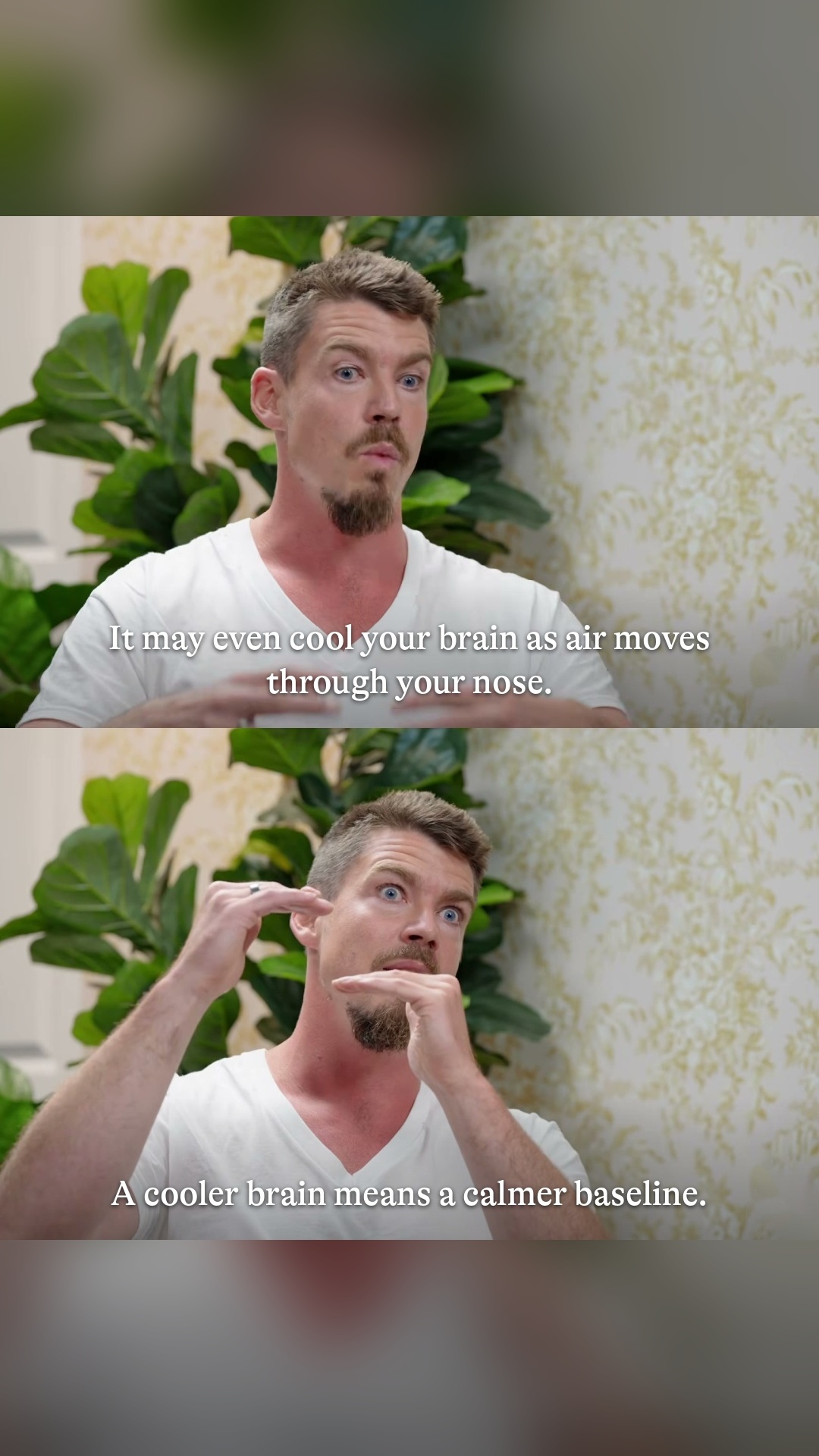 tiktok slide 5