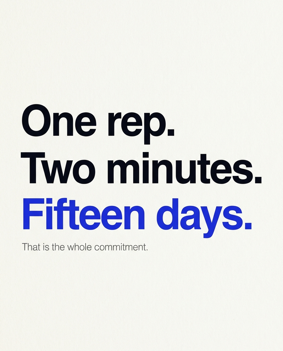 feed media