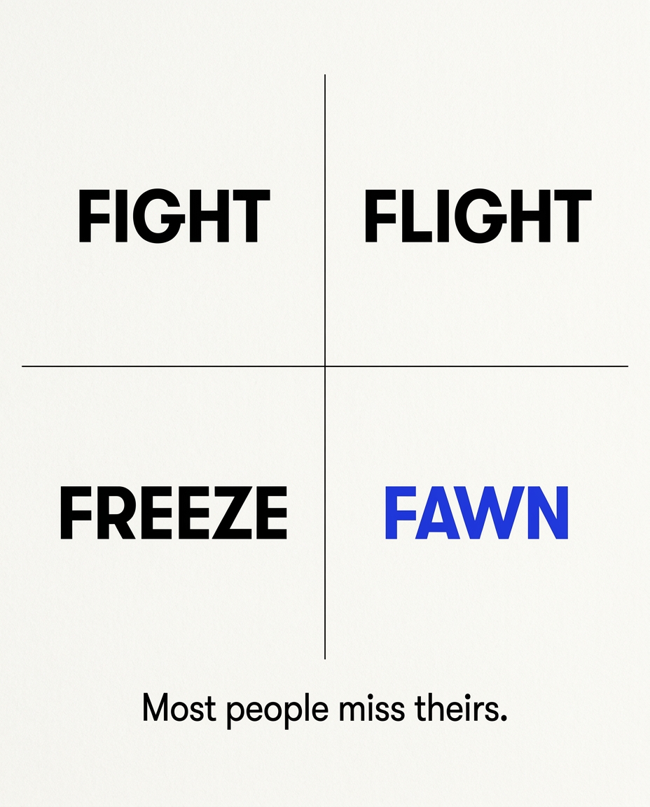 feed media