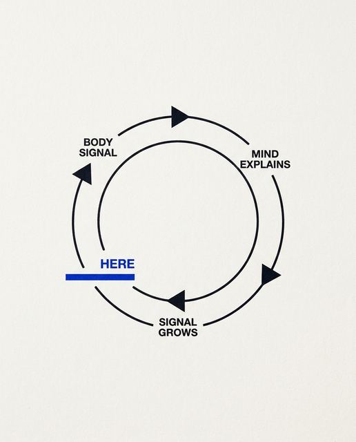 S06 · The Loop