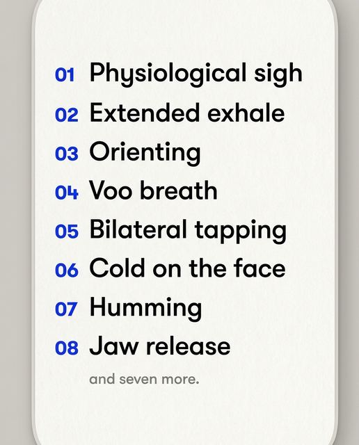 S14 · The Protocol List